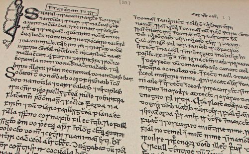 Catalogue of manuscripts